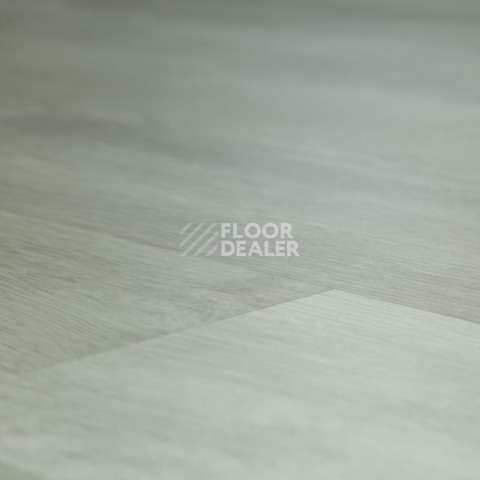 Tarkett Funky House CRUZE фото 11 | FLOORDEALER